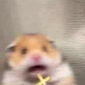 Meet your Posher, Kathryn